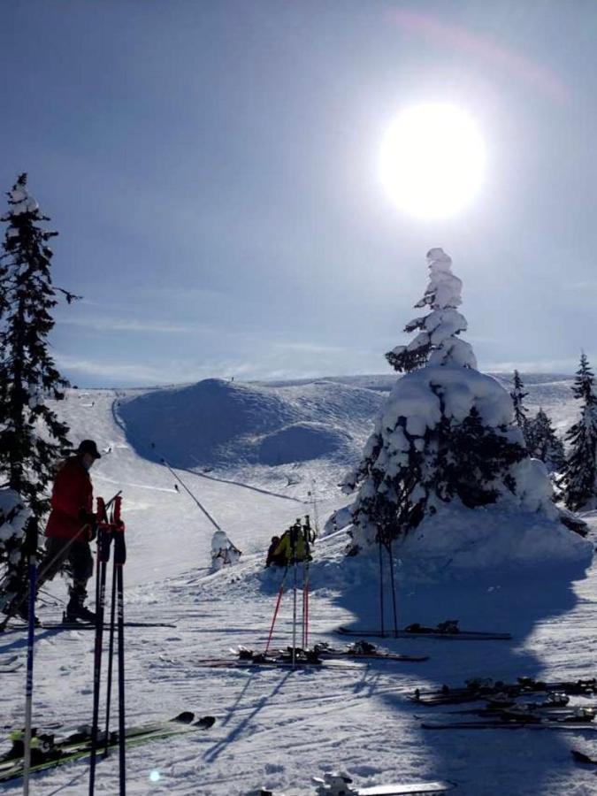 In The Middle Of Trysil Fjellet - Welcome Center - Apartment With 4 Bedrooms And Sauna - By Bike Arena And Ski Lift Exterior foto